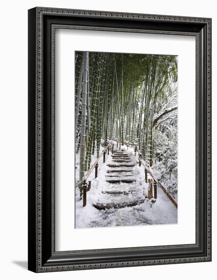 Snowy path in bamboo forest, Kodai-ji temple, Kyoto, Japan, Asia-Damien Douxchamps-Framed Photographic Print