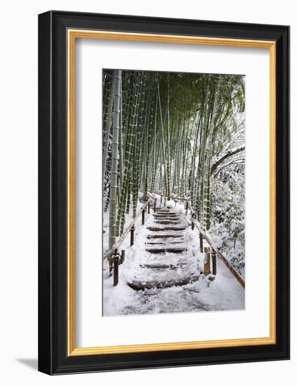 Snowy path in bamboo forest, Kodai-ji temple, Kyoto, Japan, Asia-Damien Douxchamps-Framed Photographic Print