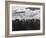 Snowy Peaks of the Olympic Mountains-Peter Stackpole-Framed Photographic Print