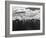 Snowy Peaks of the Olympic Mountains-Peter Stackpole-Framed Photographic Print