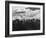 Snowy Peaks of the Olympic Mountains-Peter Stackpole-Framed Photographic Print