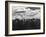 Snowy Peaks of the Olympic Mountains-Peter Stackpole-Framed Photographic Print