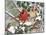 Snowy Perch - Cardinals-William Vanderdasson-Mounted Giclee Print