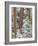 Snowy Pine Forest 2-Don Paulson-Framed Giclee Print