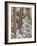 Snowy Pine Forest 2-Don Paulson-Framed Giclee Print