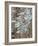 Snowy Pine Forest-Don Paulson-Framed Giclee Print