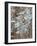 Snowy Pine Forest-Don Paulson-Framed Giclee Print