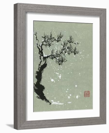 Snowy Pine I-Nan Rae-Framed Art Print