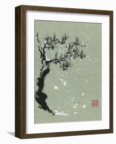 Snowy Pine I-Nan Rae-Framed Art Print