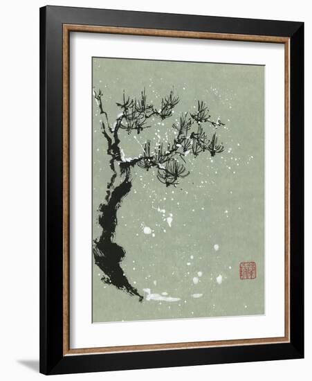 Snowy Pine I-Nan Rae-Framed Art Print