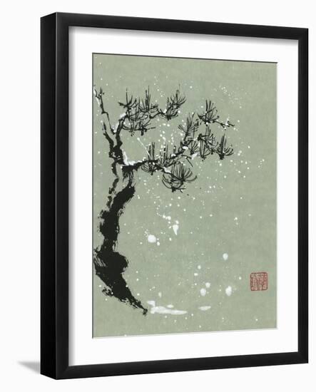 Snowy Pine I-Nan Rae-Framed Art Print