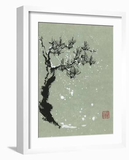 Snowy Pine I-Nan Rae-Framed Art Print