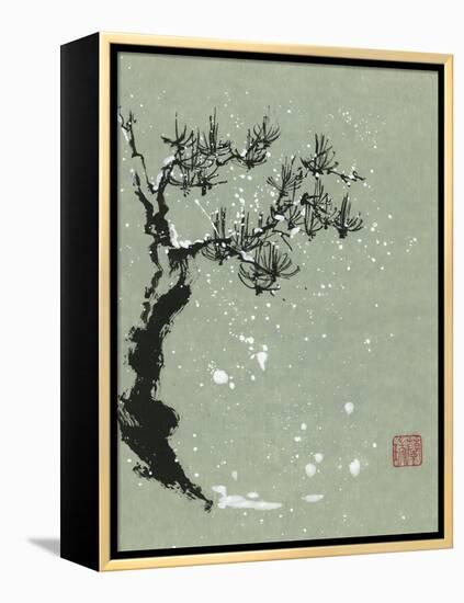 Snowy Pine I-Nan Rae-Framed Stretched Canvas