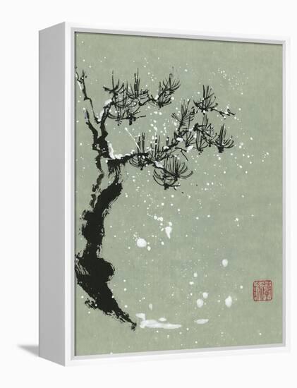 Snowy Pine I-Nan Rae-Framed Stretched Canvas