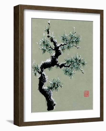 Snowy Pine II-Nan Rae-Framed Art Print