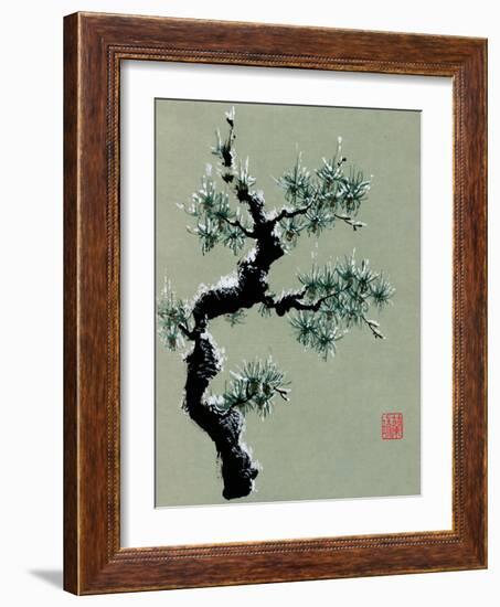 Snowy Pine II-Nan Rae-Framed Art Print