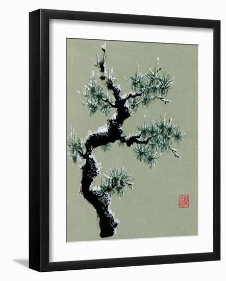 Snowy Pine II-Nan Rae-Framed Art Print