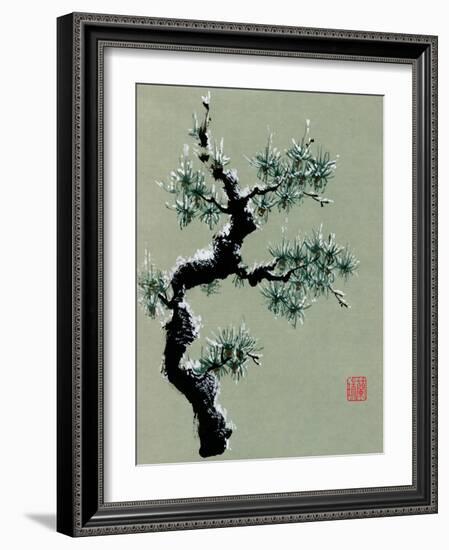 Snowy Pine II-Nan Rae-Framed Art Print
