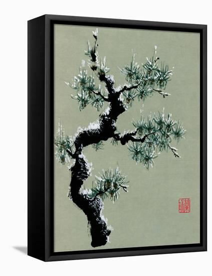 Snowy Pine II-Nan Rae-Framed Stretched Canvas