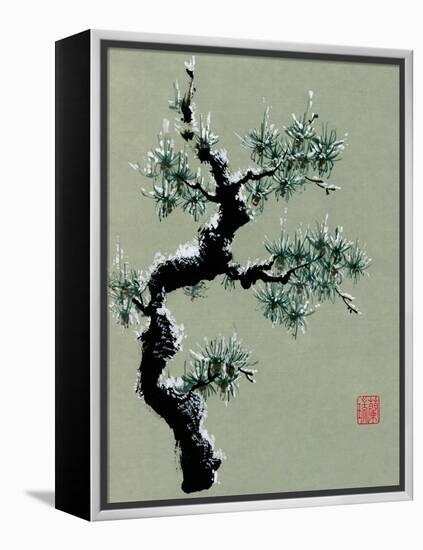 Snowy Pine II-Nan Rae-Framed Stretched Canvas