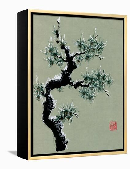 Snowy Pine II-Nan Rae-Framed Stretched Canvas