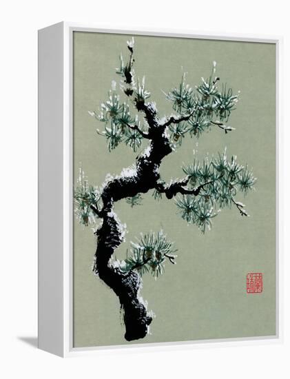 Snowy Pine II-Nan Rae-Framed Stretched Canvas