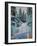 Snowy Pines-James Ayers-Framed Art Print