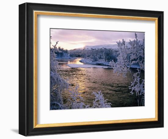 Snowy Riverscape, Vindelfjallen Nr, Umea, Sweden-Christer Fredriksson-Framed Photographic Print