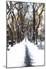 Snowy road Central Park-Philippe Hugonnard-Mounted Giclee Print