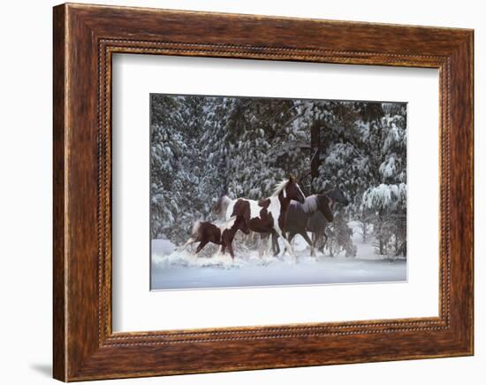 Snowy Runners-Steve Hunziker-Framed Art Print