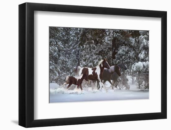 Snowy Runners-Steve Hunziker-Framed Art Print