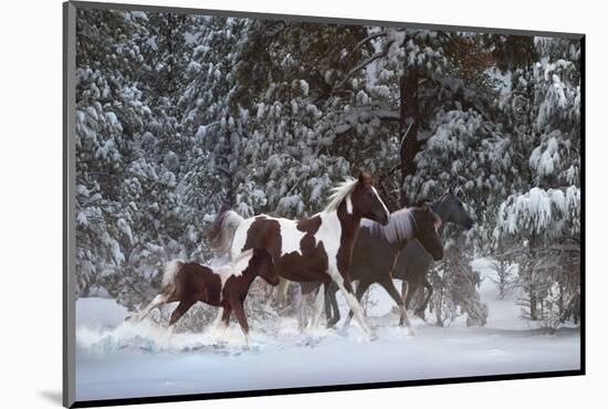 Snowy Runners-Steve Hunziker-Mounted Art Print