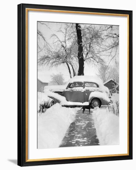 Snowy Scene in Illinois, Ca. 1940-null-Framed Photographic Print