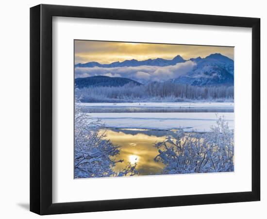 Snowy Scenery, Chilkat Bald Eagle Preserve, Alaska, USA-Cathy & Gordon Illg-Framed Photographic Print