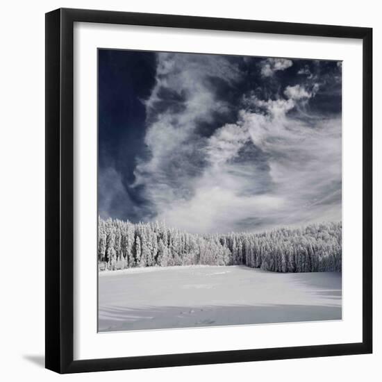 Snowy Sky-Philippe Sainte-Laudy-Framed Photographic Print