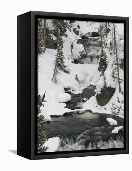 Snowy Stream in Yellowstone National Park, UNESCO World Heritage Site, Wyoming, United States of Am-Kimberly Walker-Framed Premier Image Canvas