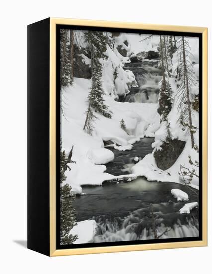 Snowy Stream in Yellowstone National Park, UNESCO World Heritage Site, Wyoming, United States of Am-Kimberly Walker-Framed Premier Image Canvas