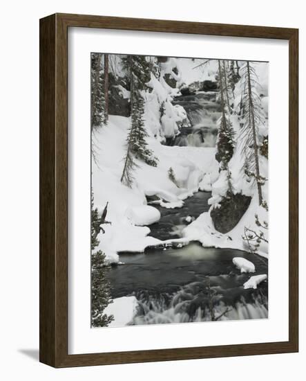 Snowy Stream in Yellowstone National Park, UNESCO World Heritage Site, Wyoming, United States of Am-Kimberly Walker-Framed Photographic Print