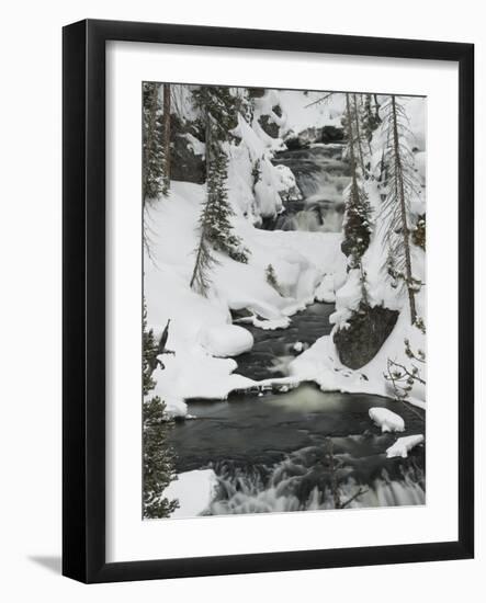 Snowy Stream in Yellowstone National Park, UNESCO World Heritage Site, Wyoming, United States of Am-Kimberly Walker-Framed Photographic Print