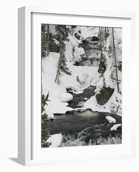 Snowy Stream in Yellowstone National Park, UNESCO World Heritage Site, Wyoming, United States of Am-Kimberly Walker-Framed Photographic Print