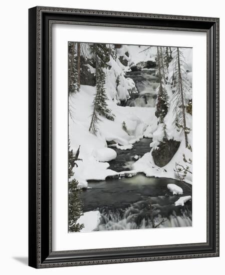 Snowy Stream in Yellowstone National Park, UNESCO World Heritage Site, Wyoming, United States of Am-Kimberly Walker-Framed Photographic Print