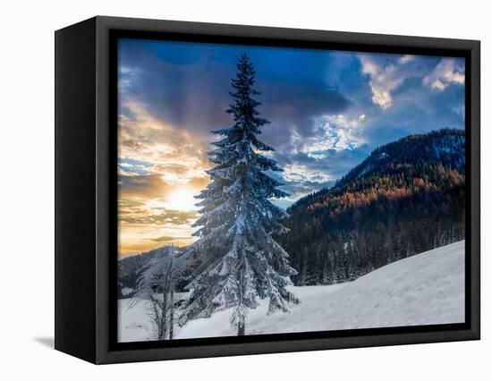 Snowy sunset-Marco Carmassi-Framed Premier Image Canvas