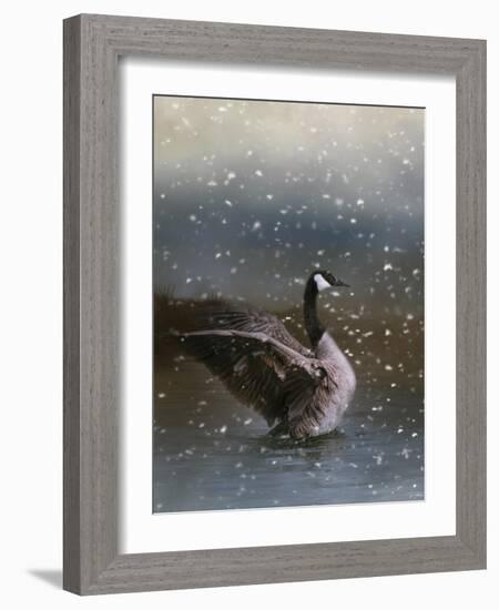 Snowy Swim-Jai Johnson-Framed Giclee Print