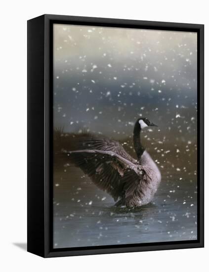 Snowy Swim-Jai Johnson-Framed Premier Image Canvas