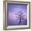 Snowy Tree in A Winter Twilight-gestockphoto-Framed Photographic Print