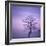 Snowy Tree in A Winter Twilight-gestockphoto-Framed Photographic Print