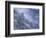 Snowy Trees on Mountain Slope, Morton Overlook, Great Smoky Mountains National Park, Tennessee, USA-Adam Jones-Framed Photographic Print