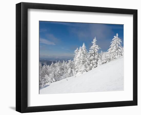 Snowy Trees on the Slopes of Mount Cardigan, Canaan, New Hampshire, USA-Jerry & Marcy Monkman-Framed Photographic Print