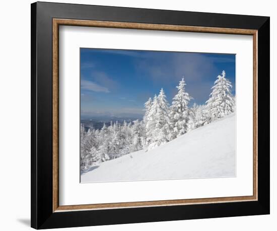 Snowy Trees on the Slopes of Mount Cardigan, Canaan, New Hampshire, USA-Jerry & Marcy Monkman-Framed Photographic Print