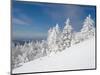 Snowy Trees on the Slopes of Mount Cardigan, Canaan, New Hampshire, USA-Jerry & Marcy Monkman-Mounted Photographic Print